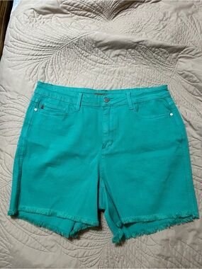 Judy Blue Women's Teal Frayed Hem Cotton Shorts